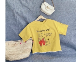 Áo thun coton 4 chiều phối màu in