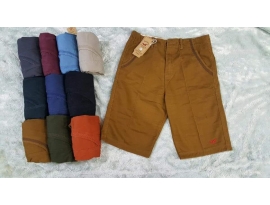 Quần lửng kaki nam holister